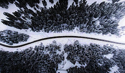 Bird eye’s view!, by Kimon Maritz